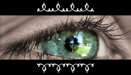 Sehen - Das Tor zur Welt