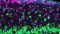 Fluoreszenzmikroskopische Aufnahme der kortikalen Schicht 1, die die zelluläre Architektur dieser äußersten kortikalen Schicht hervorhebt. Zellkerne sind in Cyan, Astrozyten in Magenta und Neuronen in Grün dargestellt.