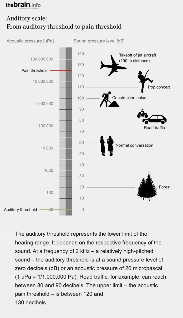 Auditory Scale