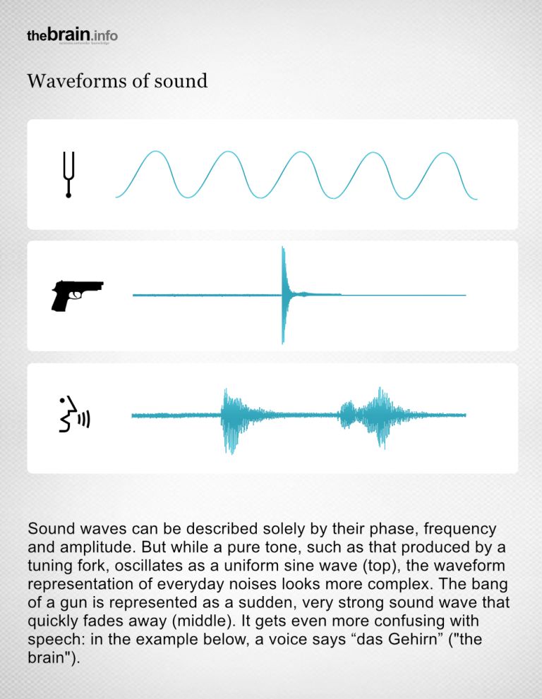 Waveforms of Sound