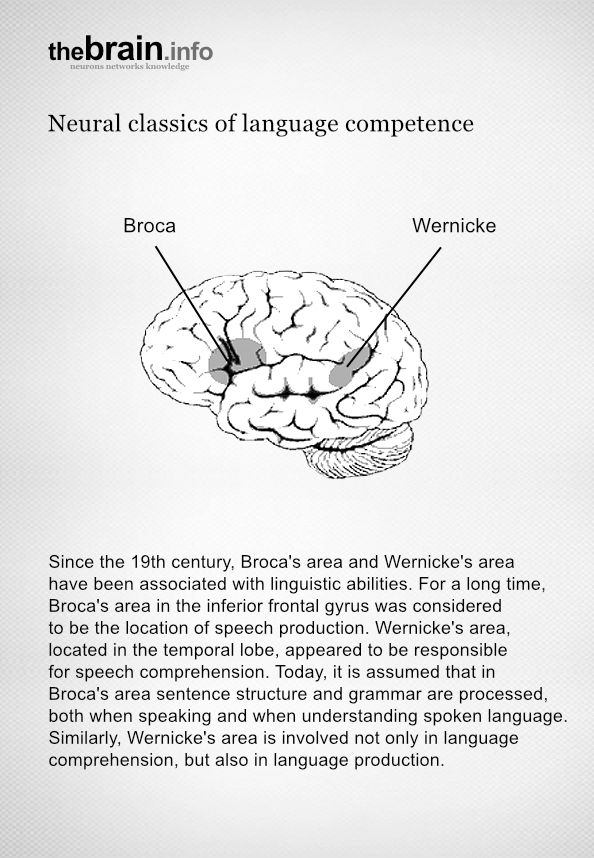 Neural classics of linguistic competence