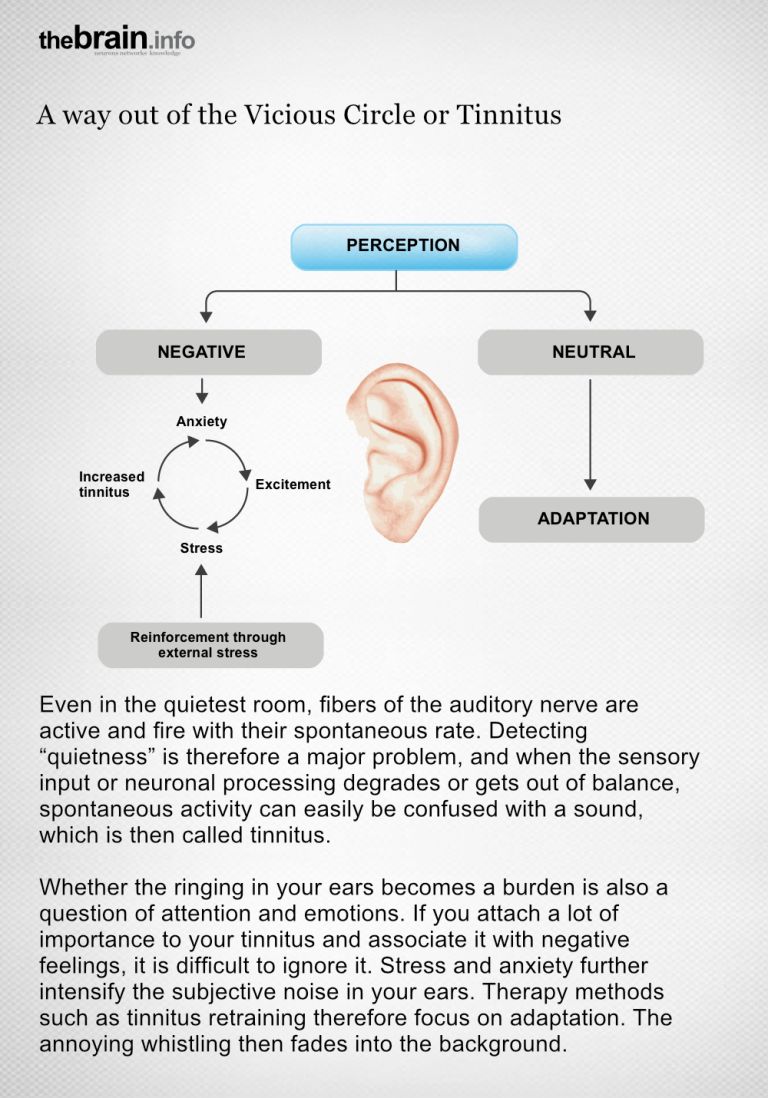 Therapy methods such as tinnitus retraining focus on habituation. The less attention you pay to the ringing, the less it affects your quality of life. Graphic designer: Meike Ufer