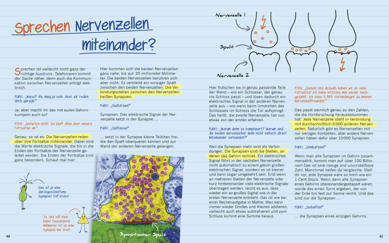 Seite 40 und 41 aus dem Buch "Warum graue Zellen (auch mal) rosa sind von Michael Madeja