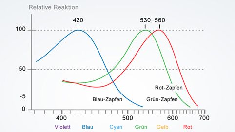 Spektrale Empfindlichkeit der drei Zapfen-Typen