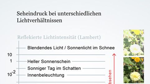 Abhängigkeit des Seheindrucks von den Lichtverhältnissen