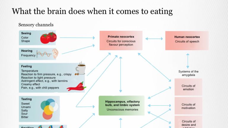 Processing of stimuli while eating
