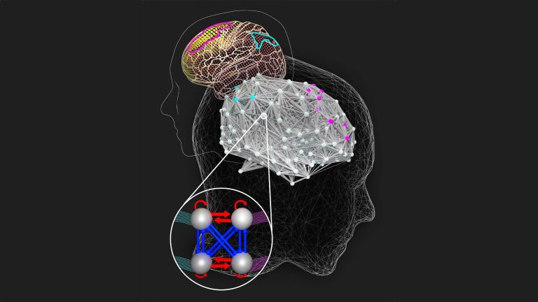 Intelligente Gehirne nehmen sich mehr Zeit für schwierige Aufgaben