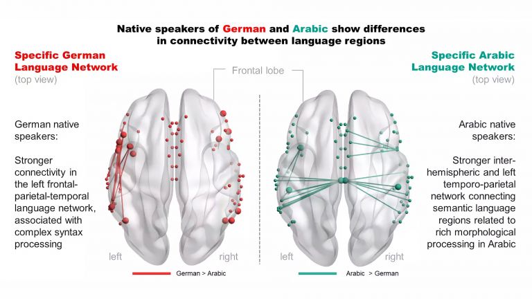 Karte des Sprachnetzwerkes von deutschen und arabischen Muttersprachlern im Vergleich.