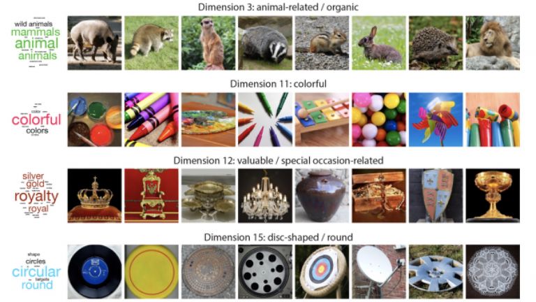 Von "tierisch" bis "feuerassoziiert": Das Gehirn schlüsselt unsere Umgebung in insgesamt 49 Merkmale auf, nach denen es alle Objekte kategorisiert (hier nur als Ausschnitt).