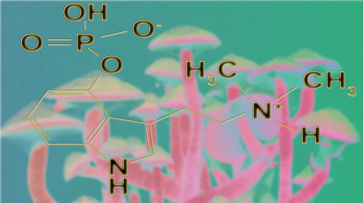 Steckbrief Psilocybin